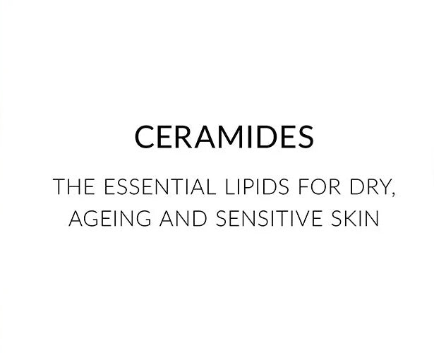 Ceramides – What Are They? What Do They Do? And Who Are They For?